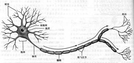 da曹文秀老师14年1月《心理学与生活》网络课程材料14年1月