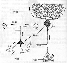 da曹文秀老师14年1月《心理学与生活》网络课程材料14年1月